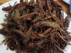 -老保定驴肉馆(云岗路店)