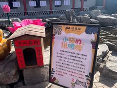 -杨家埠民间艺术大观园