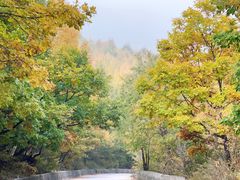 -白草畔自然风景区