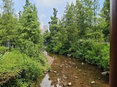 -重庆彩云湖湿地公园