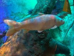 -沈阳海洋探索中心