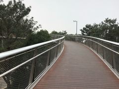 -仙岳公园