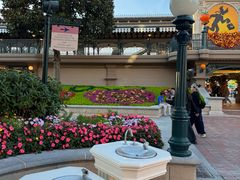 -巴黎迪士尼乐园
