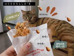 -麦当劳(红旗路店)