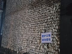 -小洲村