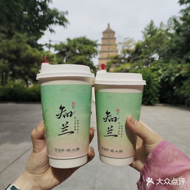 茶话弄联名非人哉 茶话弄新品 茶话弄知兰