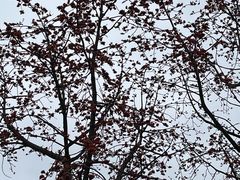 -广东外语外贸大学(白云山校区)