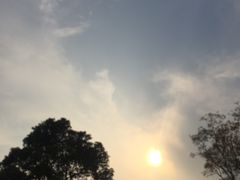 -吴淞炮台湾湿地森林公园烧烤区