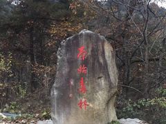 -青峰峡国家森林公园