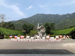 -牛鱼嘴原始生态风景区