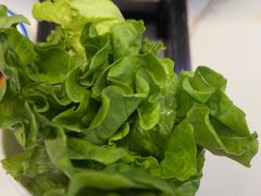 -一烙锅(友谊店)