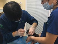 -瑞派·关忠动物医院(国瑞店)