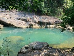 -广州白江湖森林公园