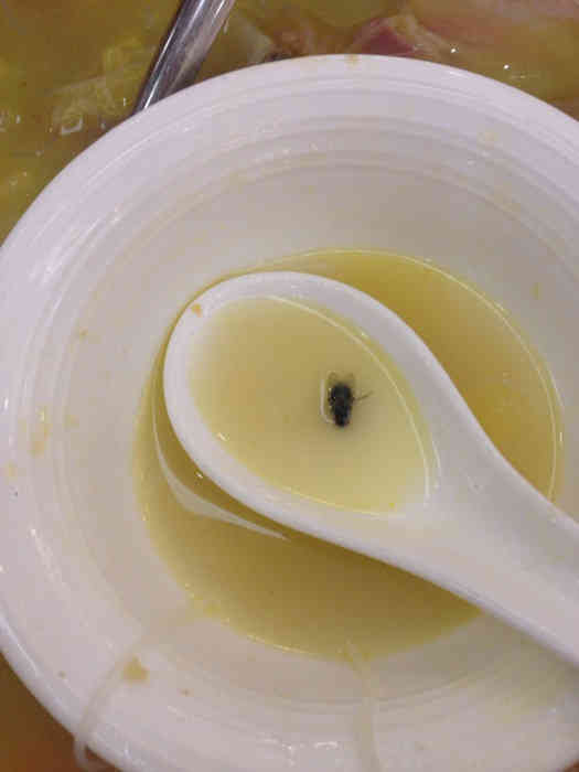 打分 居然吃到苍蝇!太恐怖恶心了,态度还很差!说是团购的原因不能退