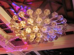 宴会厅-月亮河温泉度假酒店