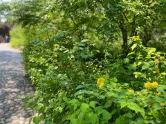 -淇河国家湿地公园