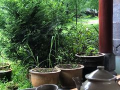-腾冲国萍农家乐