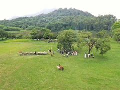 -福建鲤鱼洲酒店