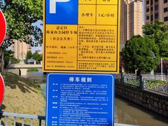-陈家山荷花公园