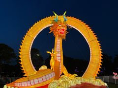-万绿园