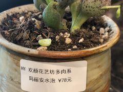 -Bai Meow法式西点咖啡