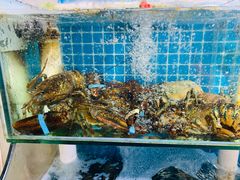 -87号烧烤海鲜·大排档(金沙滩店)