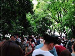 -西湖游船