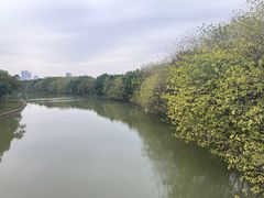 -海珠湖公园