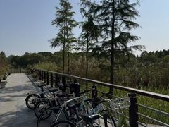 -昆山城市生态森林公园