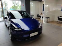 -TESLA 特斯拉(郑州正弘城体验店)