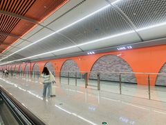 -华西坝(地铁站)