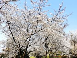 -玄武湖景区-情侣园游乐场