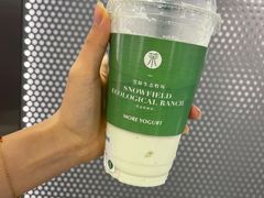 -茉酸奶(春熙路店)