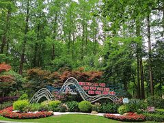 -徐家汇源景区-衡山公园