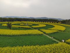 -苏州太湖西山岛开心农场