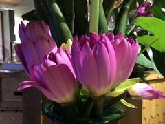 -春暖花开(西溪店)