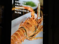 -十三道烧烤(保利西街店)