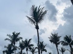 -亚龙湾希尔顿自助餐厅·海鲜·烧烤·沙滩BBQ·现场乐队