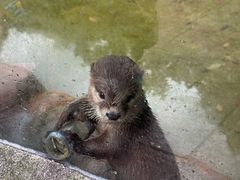 -杭州野生动物世界