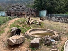 -无锡动物园·太湖欢乐园