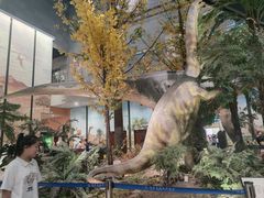 -湖南省地质博物馆