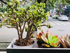 -龙厂长老火锅(抚琴店)