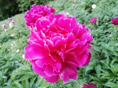 -长春公园(普阳街道)