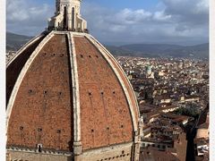 -圣母百花大教堂穹顶