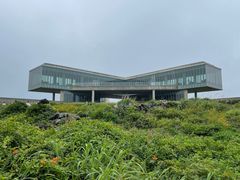 -涉地可支