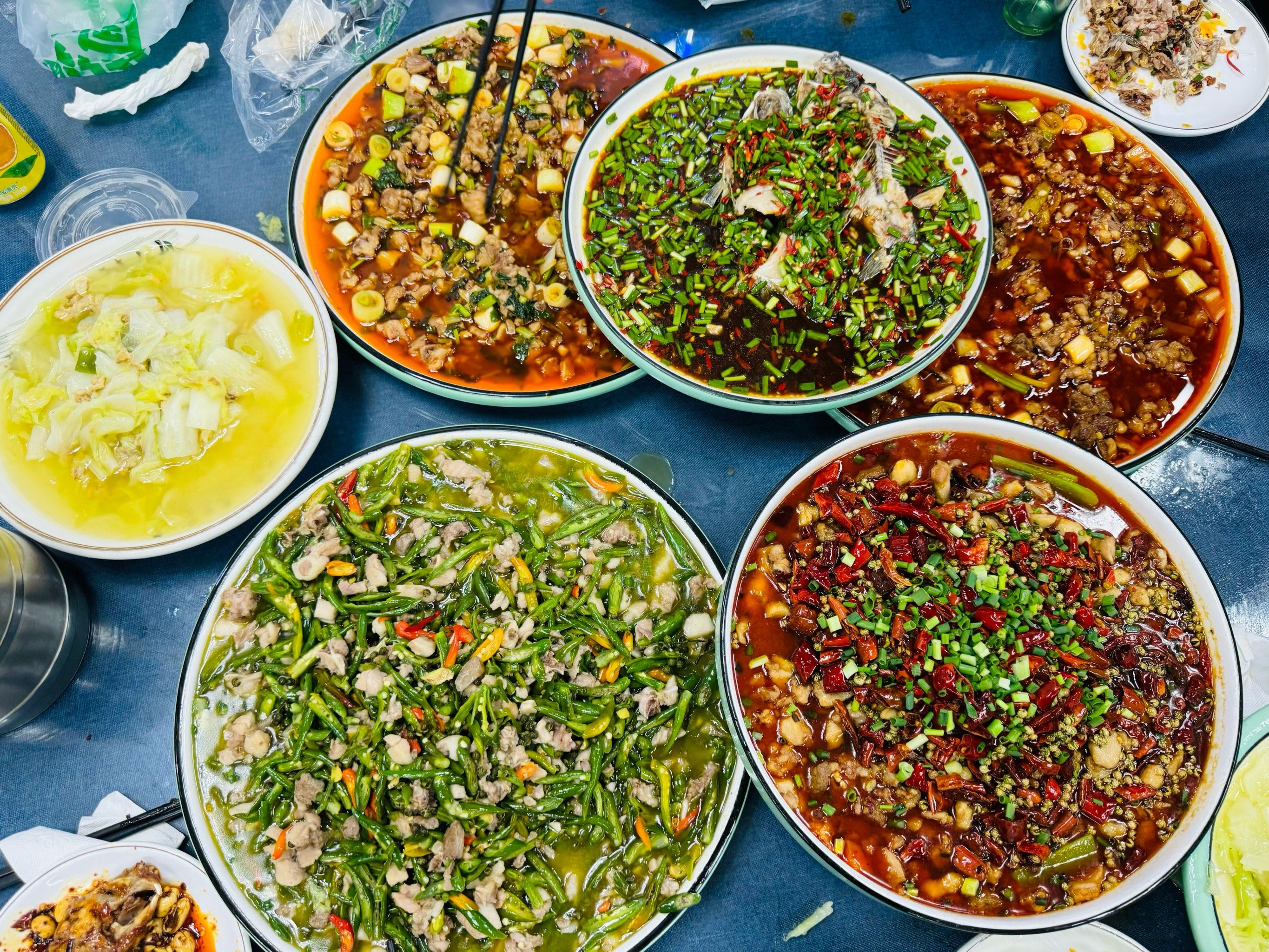 德阳|好吃的兔兔🐰