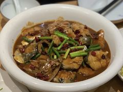 红烧鲅鱼-山东宾馆·齐鲁苑餐厅