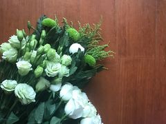 -双季花艺园艺市场(浦东店)