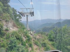 -栾川竹海野生动物园