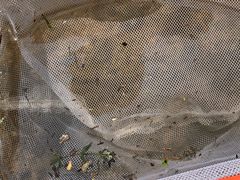 -碓臼峪自然风景区